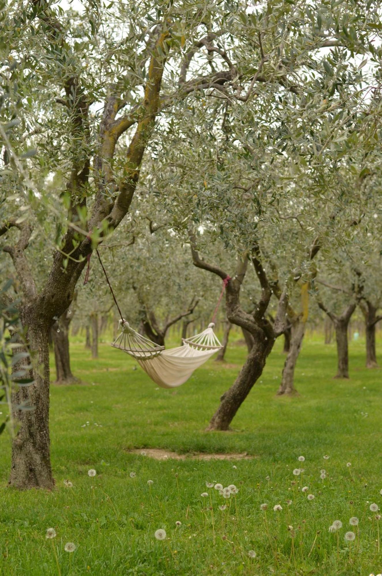 B&B La Cipressina Cavaion Veronese Eksteriør billede
